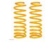 TJM 1.50-Inch XGS Heavy Duty Rear Lift Coil Springs (07-18 Jeep Wrangler JK 2-Door)