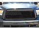 1-Piece Steel Upper Grille Insert; America (10-13 Tundra)