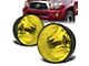 Fog Lights with Switch; Amber (07-13 Tundra)