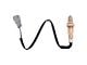 O2 Oxygen Sensor; Downstream Passenger Side (18-21 5.7L Tundra)