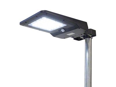 Solar and LED Floodlight; 800 Lumen