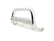 E-Series Bull Bar; Stainless Steel (05-15 Tacoma)