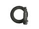 Yukon Gear Dana 44 Front Axle Ring and Pinion Gear Kit; 4.88 Gear Ratio (18-24 Jeep Wrangler JL Rubicon)